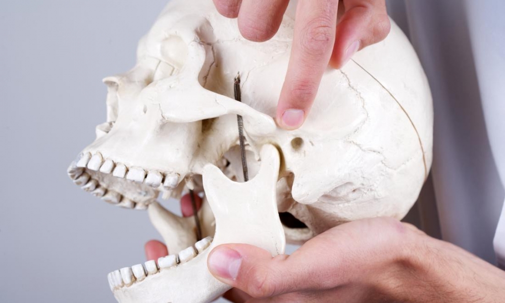 T.M.J / Jaw Joint